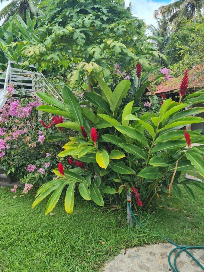 Villa Sonrisa Casa De Huespedes Las Terrenas Esterno foto