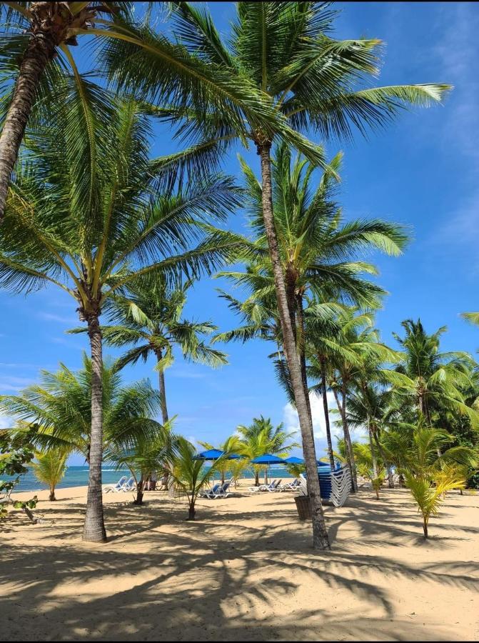Villa Sonrisa Casa De Huespedes Las Terrenas Esterno foto