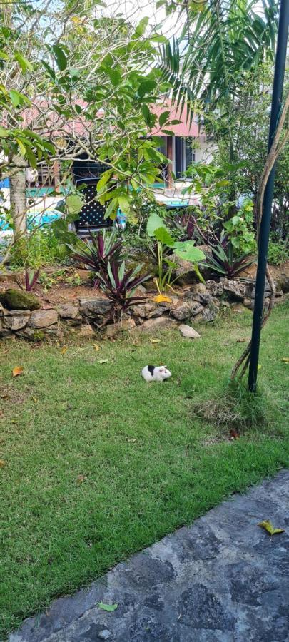 Villa Sonrisa Casa De Huespedes Las Terrenas Esterno foto
